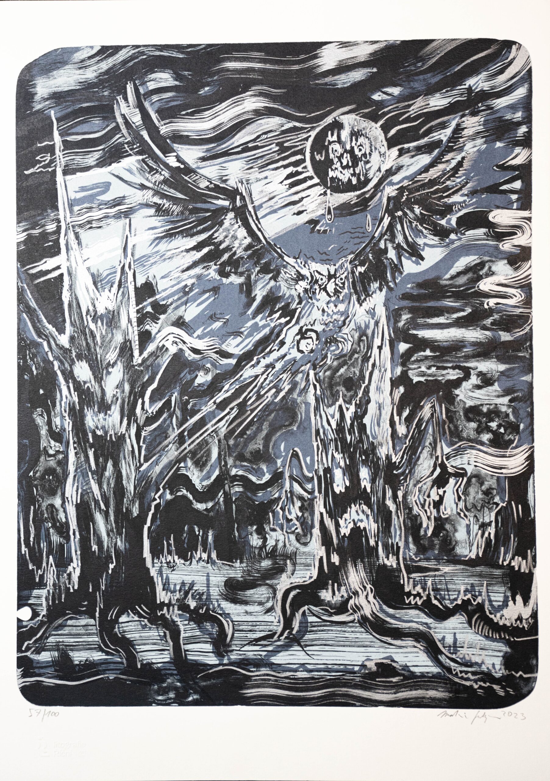 Martin Salajka - Les