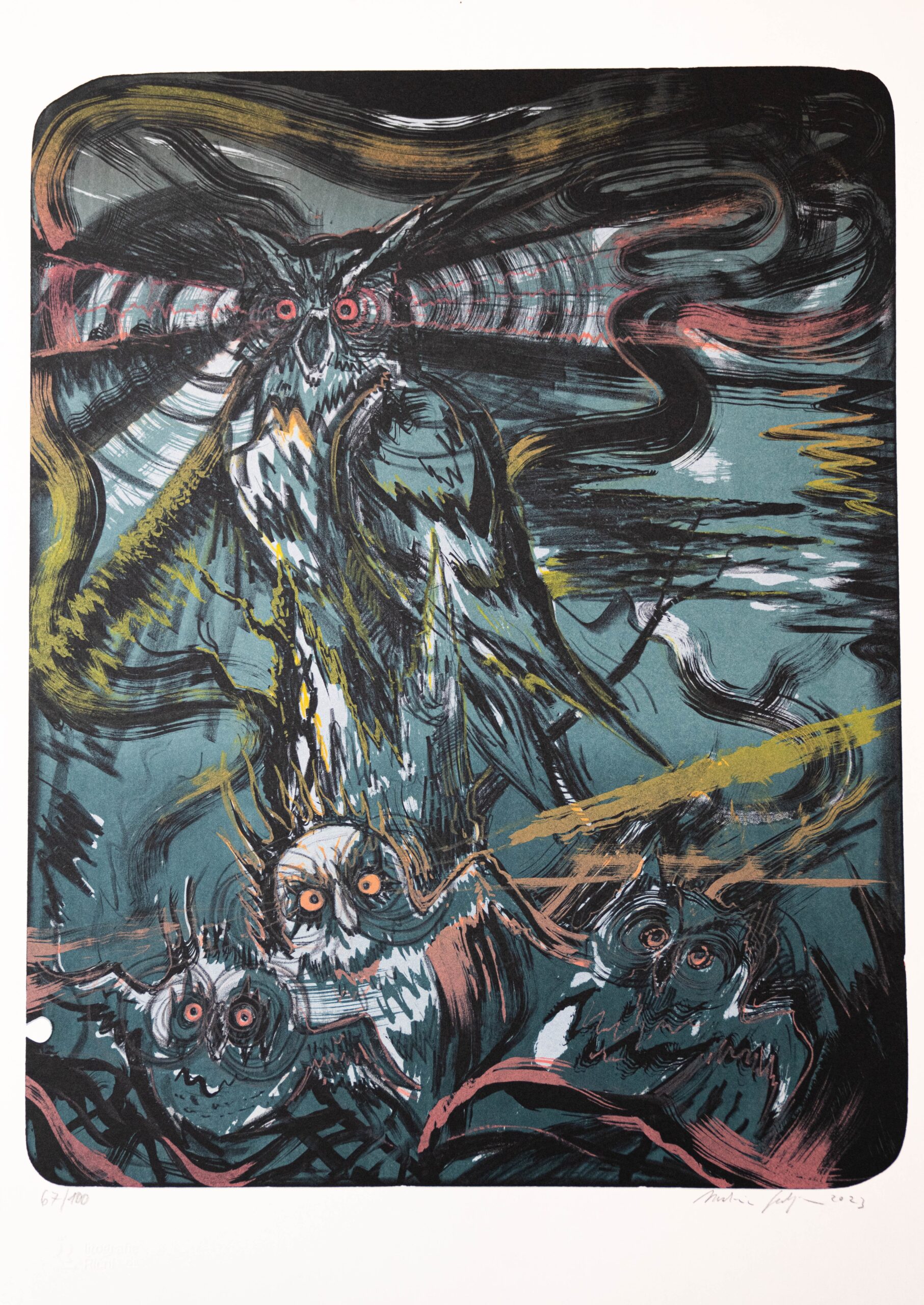 Martin Salajka - Hnízdo II.